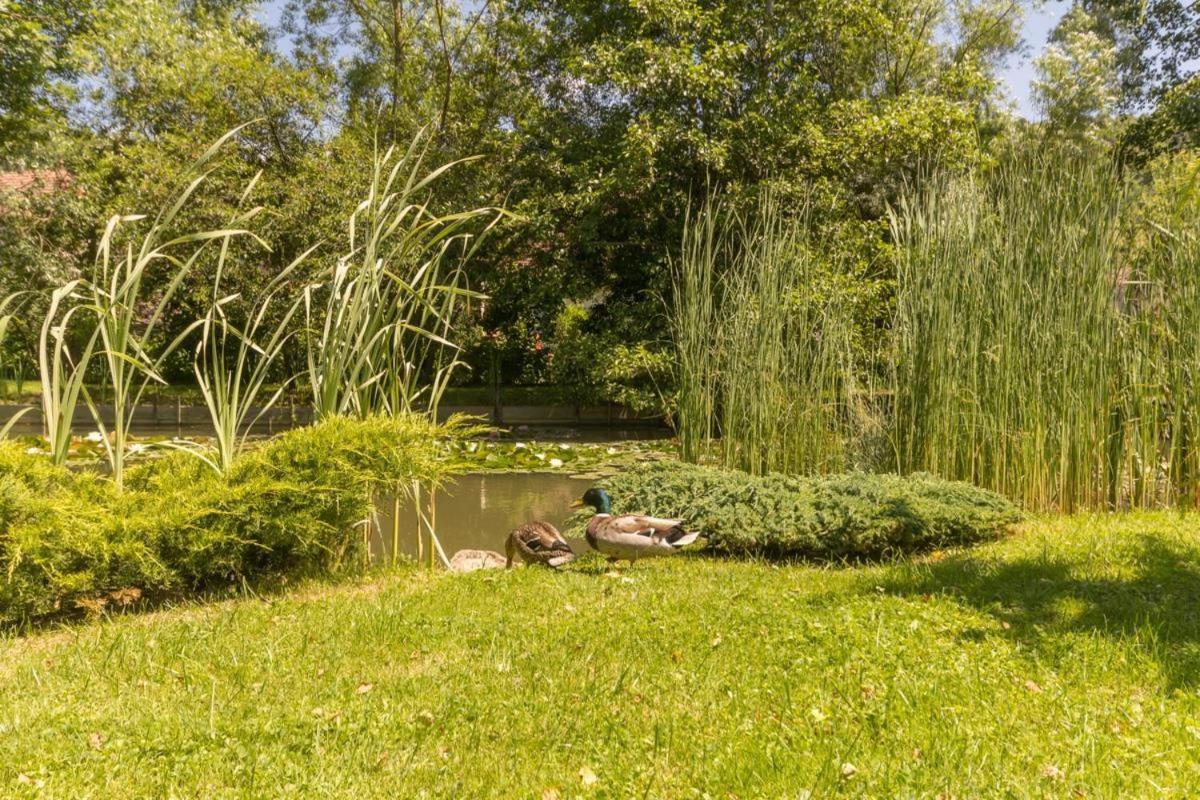 Les Trois Faisans Hotel Bligny-sur-Ouche Bagian luar foto