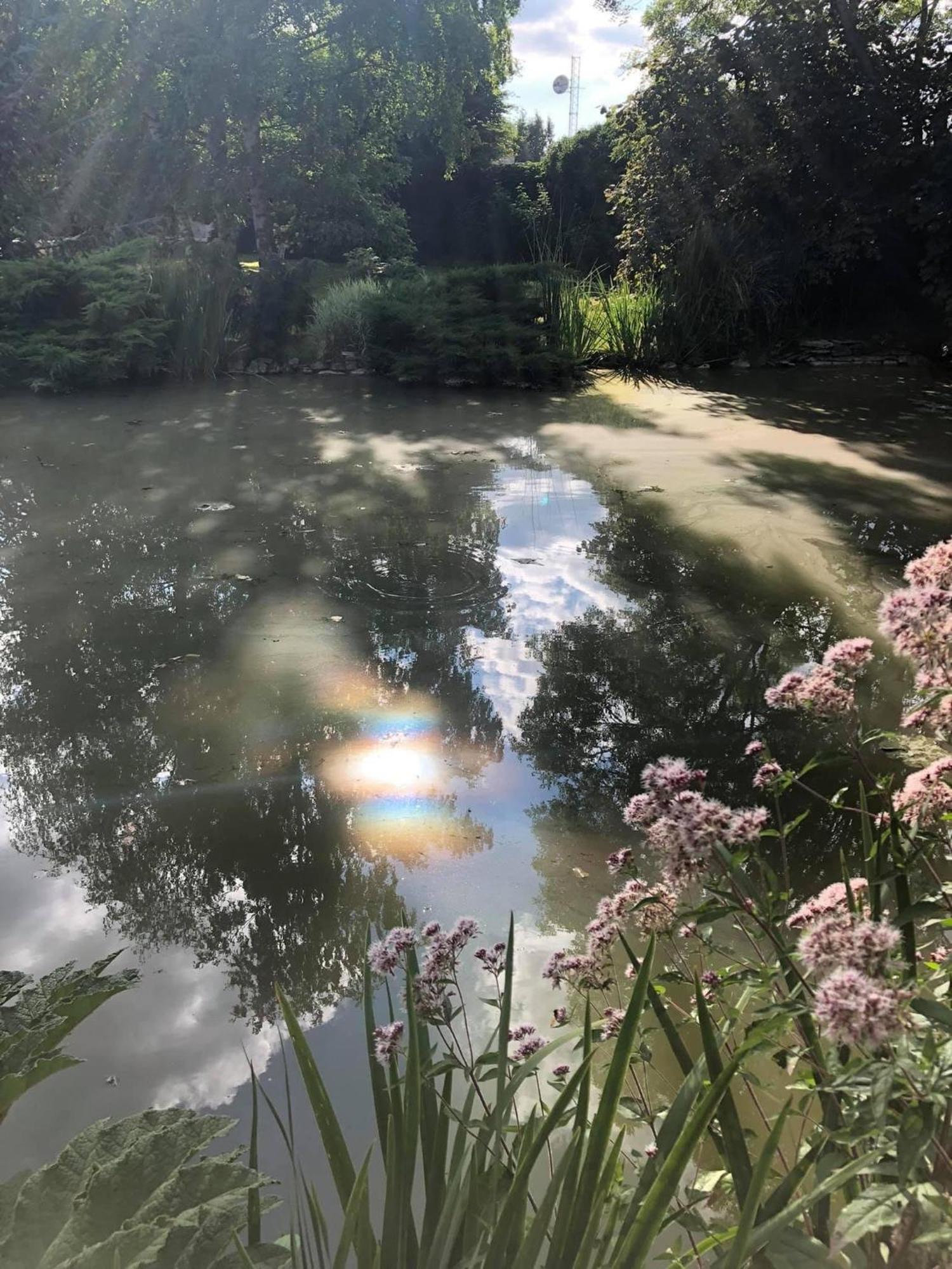 Les Trois Faisans Hotel Bligny-sur-Ouche Bagian luar foto